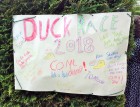 2018 Duck Races Fabulous poster! | June 2018